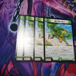 ぱくちーたー R