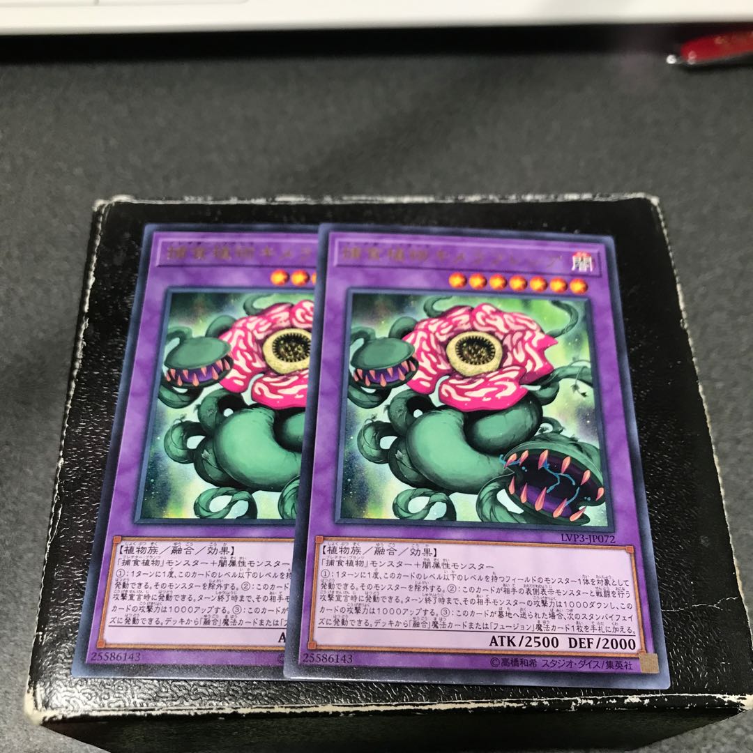 Predaplant Chimerafflesia 2 rare