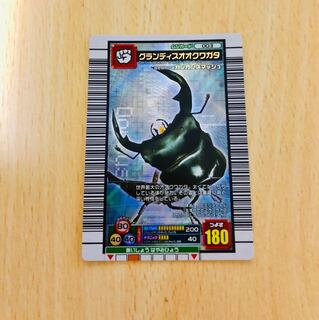 Insect King Grandis stag beetle