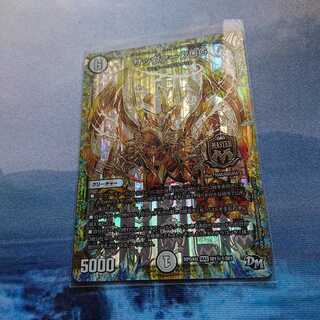 サッヴァークDG