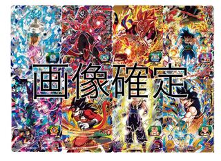 CHIEMi様専用 1枚