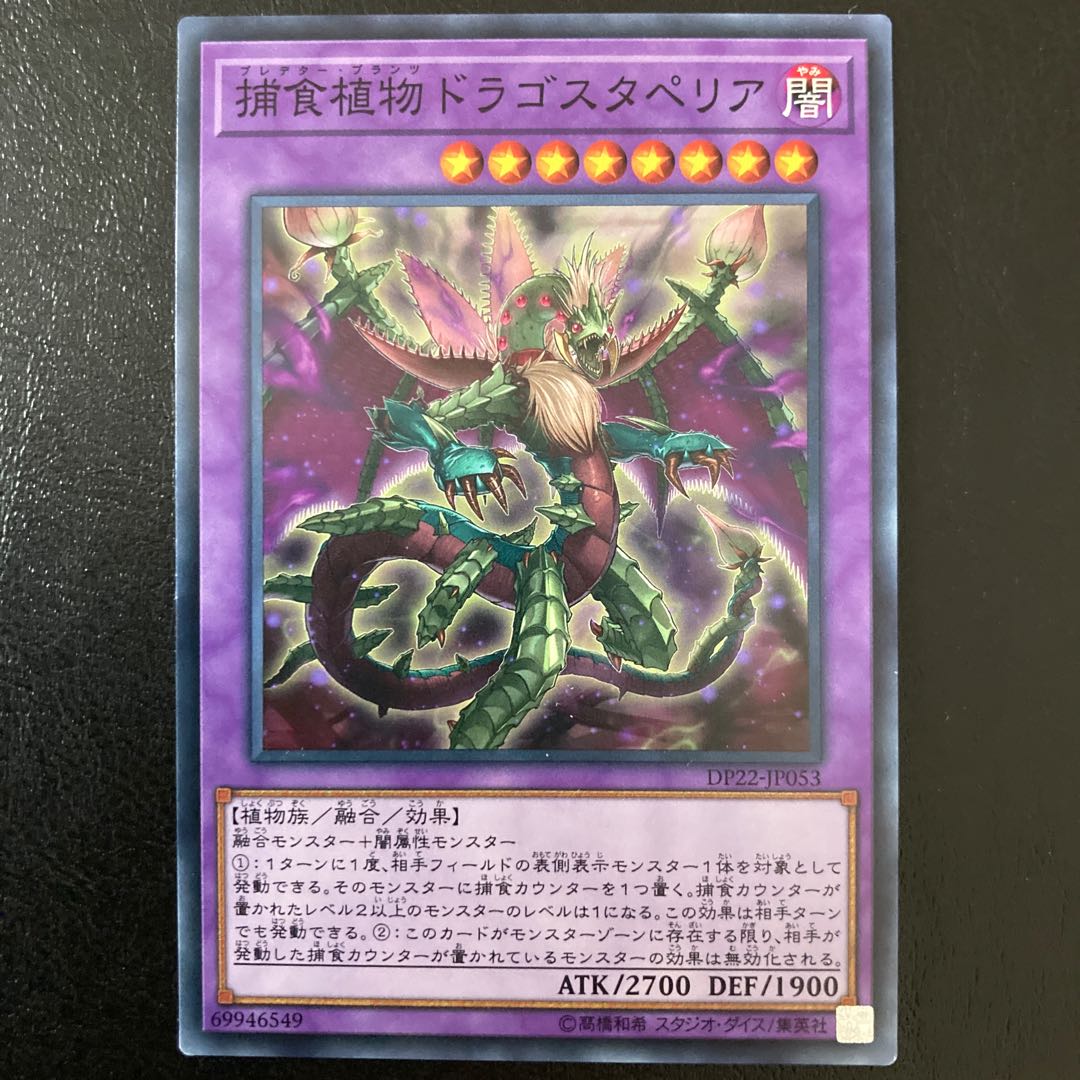 Predaplant Dragostapelia Normal