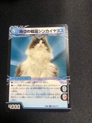 Space-time War Cat Shinkayanus｜Space-time War Cat Janus Glen-O