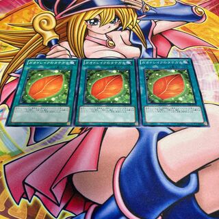 ガオドレイクのタテガミ