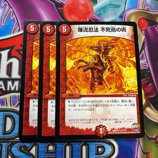 爆流忍法 不死鳥の術