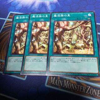 Secret Village of the Spellcasters Normal