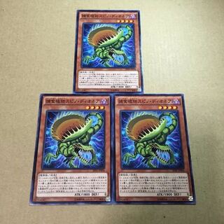 捕食植物スピノ・ディオネア