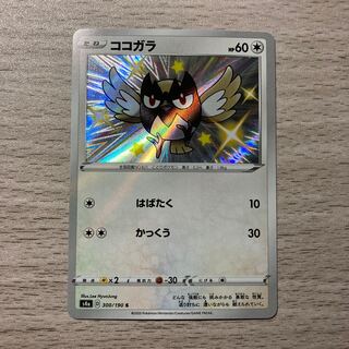 Rookidee S 300/190 1枚