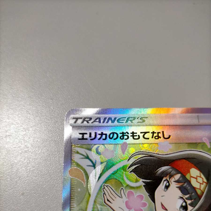 Erika's Hospitality SR