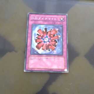 D.D.ダイナマイト ノーマル　【木林堂】