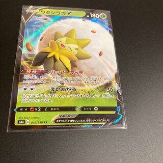 ワタシラガV RR 3