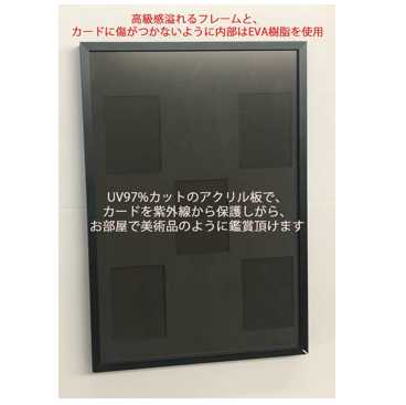 (for S-size cards) Trading card display My Collection