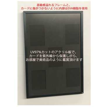 (for R-size cards) Trading card display My Collection