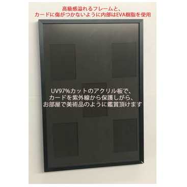 （Rサイズカード用）トレーディングカードディスプレイMy Collection