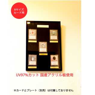 (Rサイズカード用)トレーディングカードディスプレイMy Collection