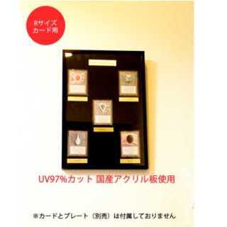 （Rサイズカード用）トレーディングカードディスプレイMy Collection