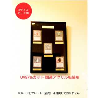(for R-size cards) Trading card display My Collection