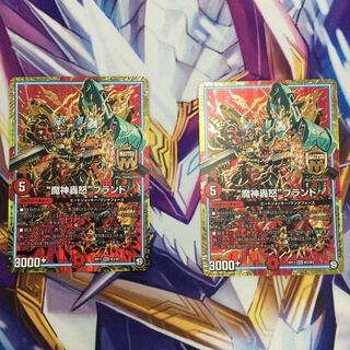 “魔神轟怒”ブランド 2枚【09425-38】