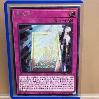 真の光 シークレットレア