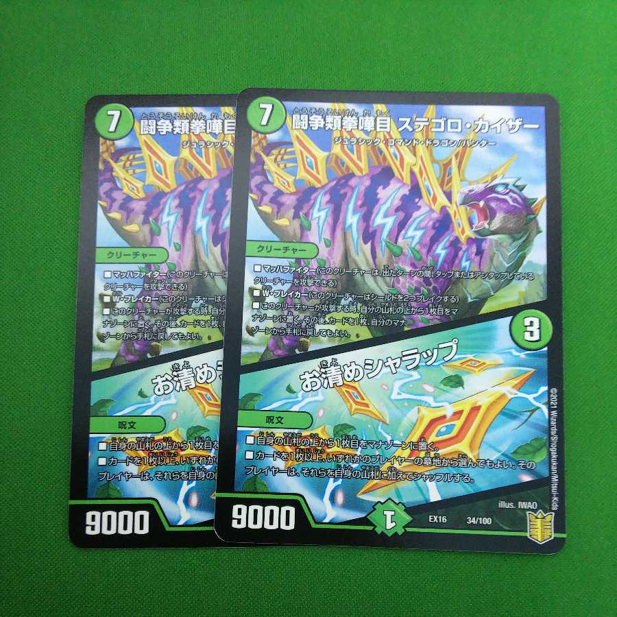 闘争類拳嘩目 ステゴロ・カイザー｜お清めシャラップ