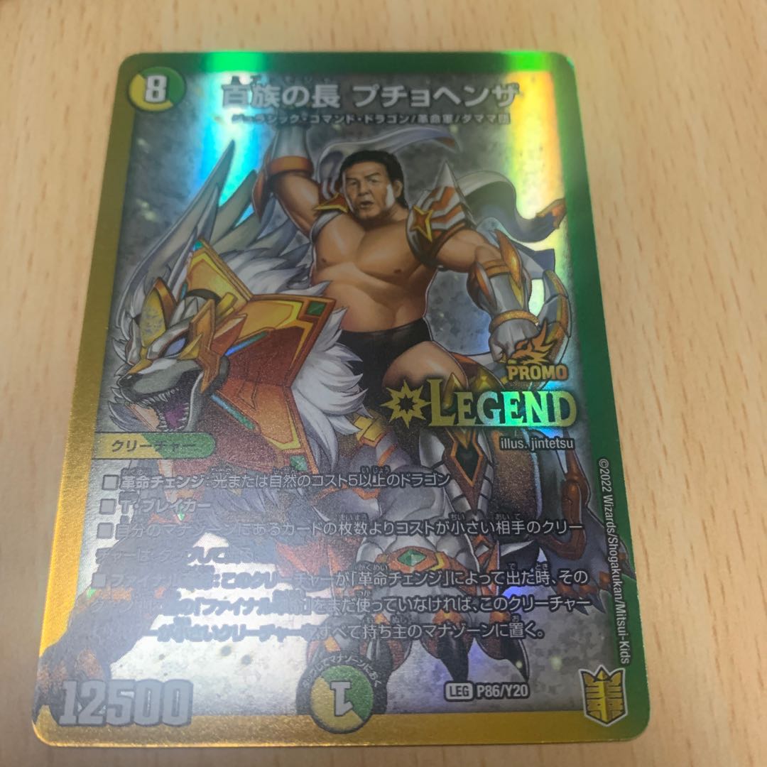 Puchohenza, chief of the Hundred Tribes