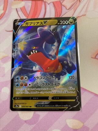 GarchompV RR
