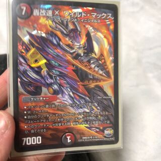 ワイルドマックス