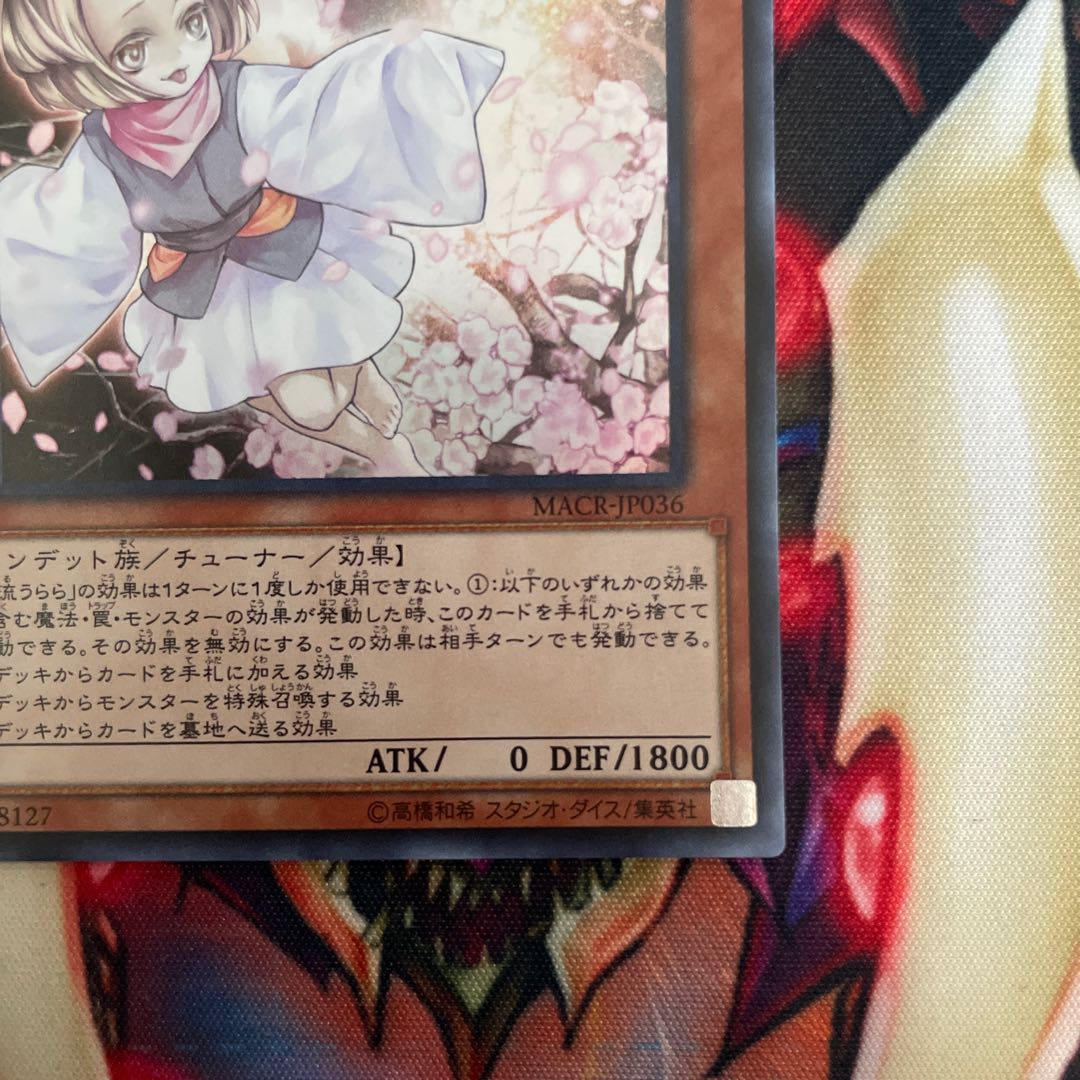 Ash Blossom & Joyous Spring Super Rare MACR