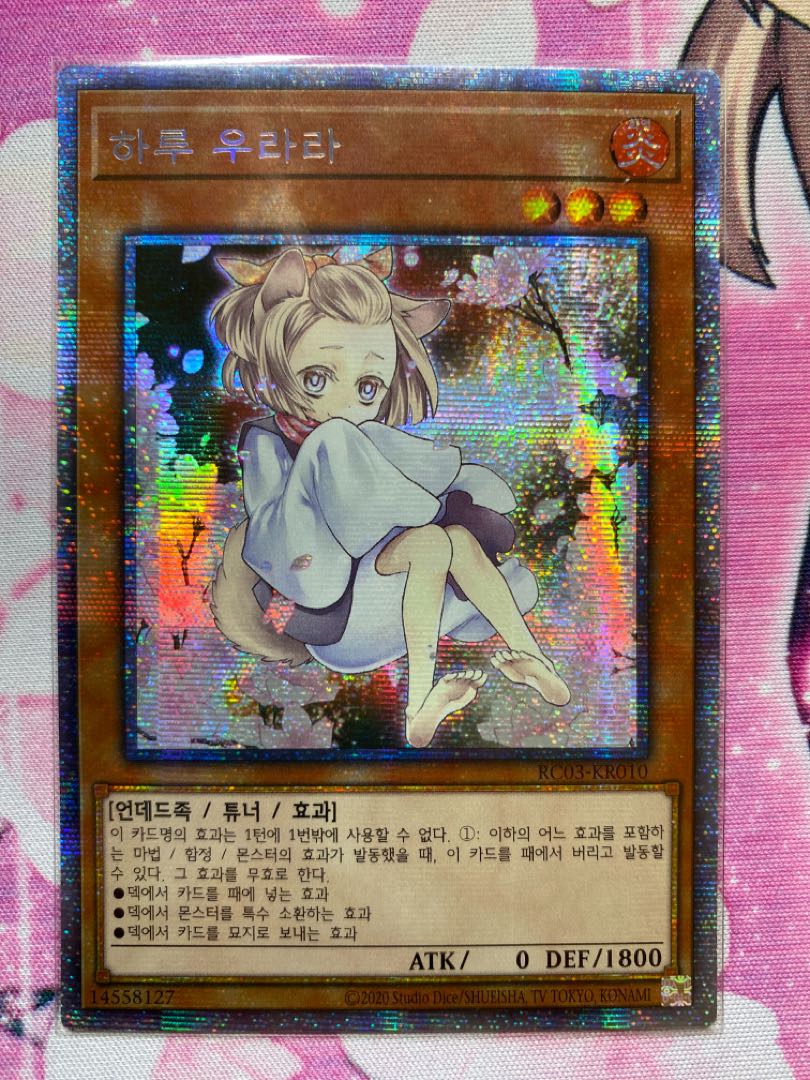 Korea Ash Blossom & Joyous Spring Prisma