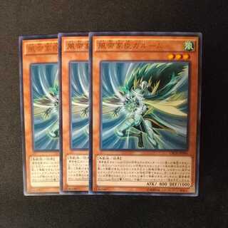 Garum the Storm Vassal Rare