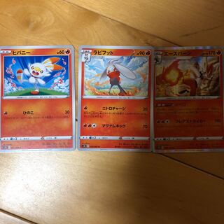 ヒバニーセット