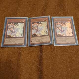 灰流うらら ウルトラレア 3枚セット