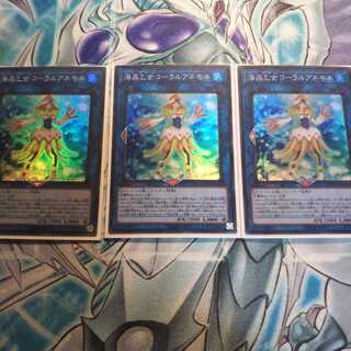 海晶乙女コーラルアネモネ３枚 SR