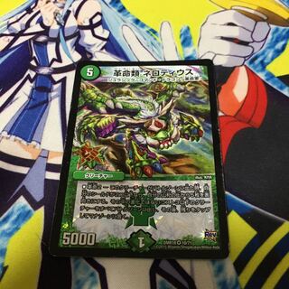 革命類　ネロティウス