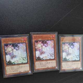 Ash Blossom & Joyous Spring 3 pieces