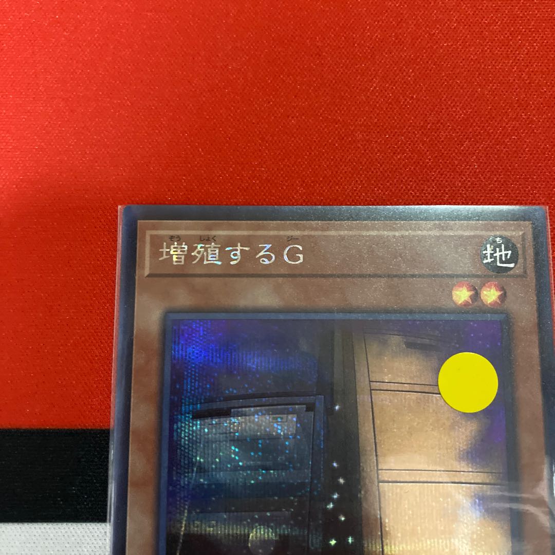 Maxx "C" Secret Rare 1 copy special price