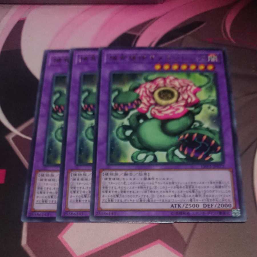 Predaplant Chimerafflesia Rare 3 pieces