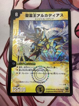 聖霊王アルカディアス VR 1枚　ジャンク