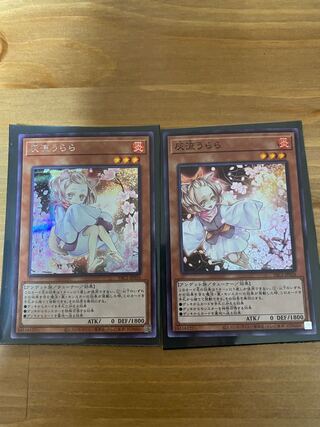 灰流うらら　まとめ売り