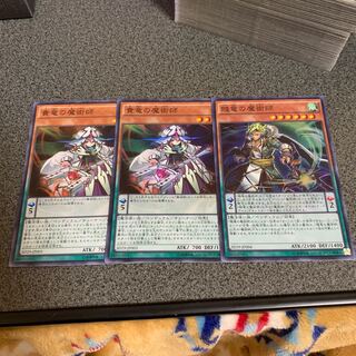 貴竜&賤竜の魔術師