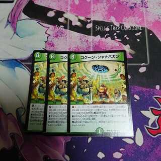 コクーン・シャナバガン 3枚