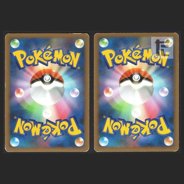 Suicune & Entei LEGEND [Plaid] 1ed/managed by MP0674