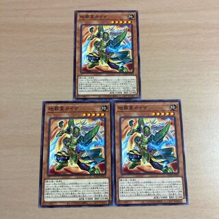 Yu-Gi-Oh, Kaisa the Earth Burial Star