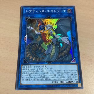 遊戯王　レプティレス・エキドゥーナ