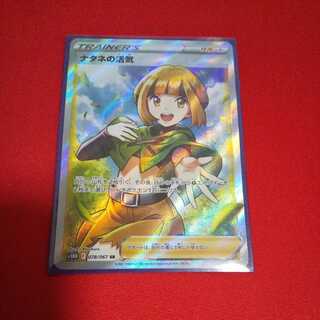 Vivify SR in Gardenia