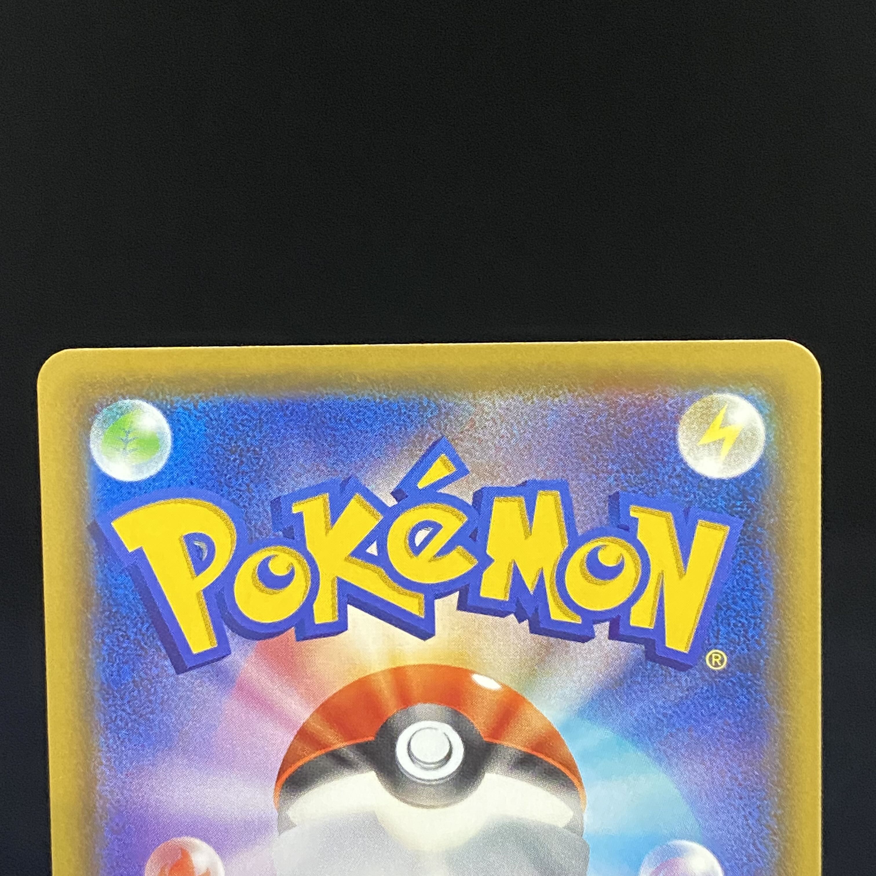 ダンデ　SR 110/100 1枚