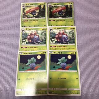 ラフレシア クサイハナ ナゾノクサ