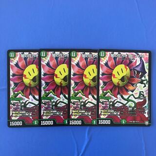 Yami flower chaos sunflower