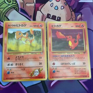 Charmander in Katsura Old Back