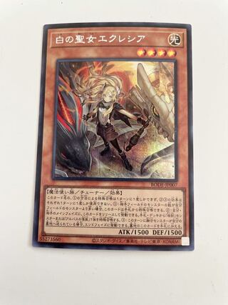 白の聖女エクレシア　シークレット